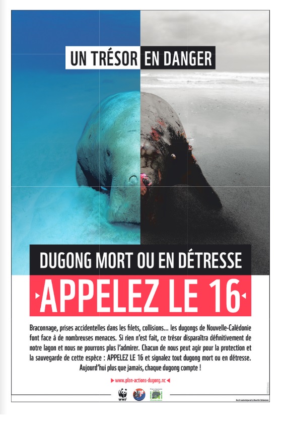 affiche dugong 6e325
